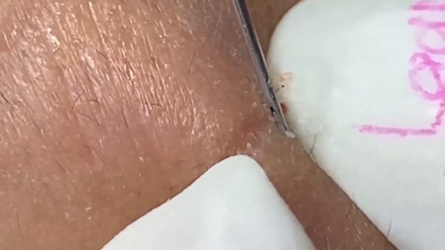 ʏᴏᴜ ᴡɪʟʟ ꜱᴜᴄᴄᴇᴇᴅ ᴡʜᴇɴ ʏᴏᴜ ᴅᴏ ꜱᴏᴍᴇᴛʜɪɴɢ ᴡᴇʟʟ # 355