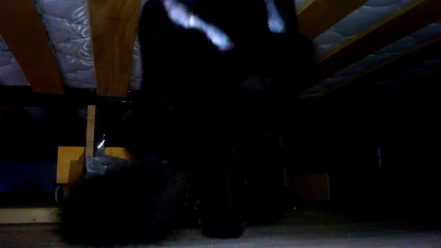 чистюля под диваном смотреть онлайн