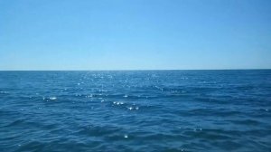 Чистый пляж в посёлке Головинка