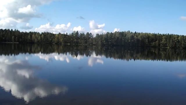 Озеро Большое Зеленодольское(Окуневое). Вода в озере прозрачная и чистая. смотреть онлайн
