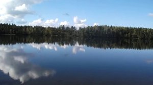 Озеро Большое Зеленодольское(Окуневое). Вода в озере прозрачная и чистая.