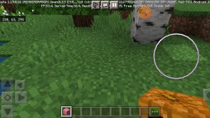 Зачарованная тыква