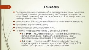 Лекция 5 ОБМЕН И ФУНКЦИИ УГЛЕВОДОВ (часть 1)