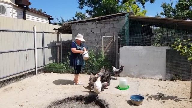 Ейск?Ремонт летней кухни. Грунтуем и красим стены. Продолжение - огородные работы.... смотреть онлайн