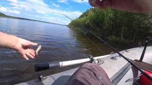 Первая рыбалка на лодочном моторе GLADIATOR G9.8.