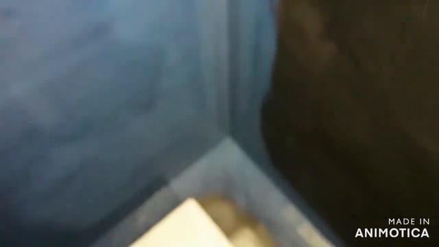гидроизоляция стен и швов в ванной комнате #PLITONIT