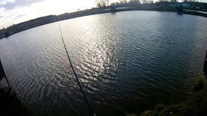 РАМЕНСКИЙ РЫБХОЗ ГЖЕЛКА