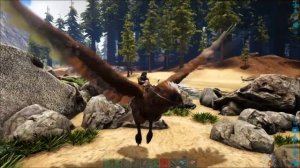 Ужасная птица и Микрораптор - Ark Survival Evolved #38