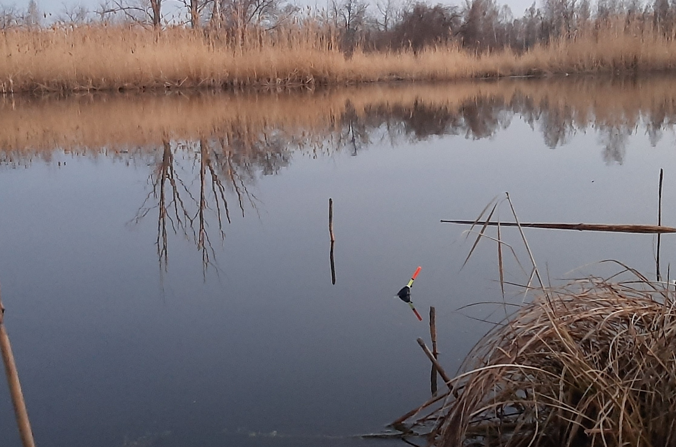 Только закормил,сразу пришёл КАРАСЬ ! смотреть онлайн