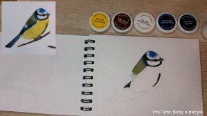 Как рисовать синичку гуашью.