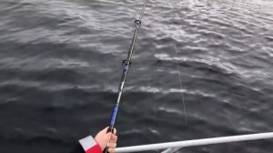 Норвегия рыбалка бешеный клев norway fishing crazy bite