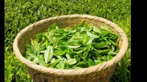 Международный день чая. 15 декабря.