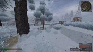 САЙГА или ПРОТЕКТА? Что выбрать? | StalCraft