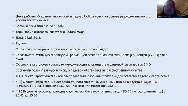 Классификация морских льдов по РЛИ. Вебинар А. Телегиной, ГК «СКАНЭКС», 04.01.2019