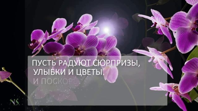 ?ПОЗДРАВЛЯЮ! ?ЦВЕТОЧНОГО ЛЕТА ВАМ!?