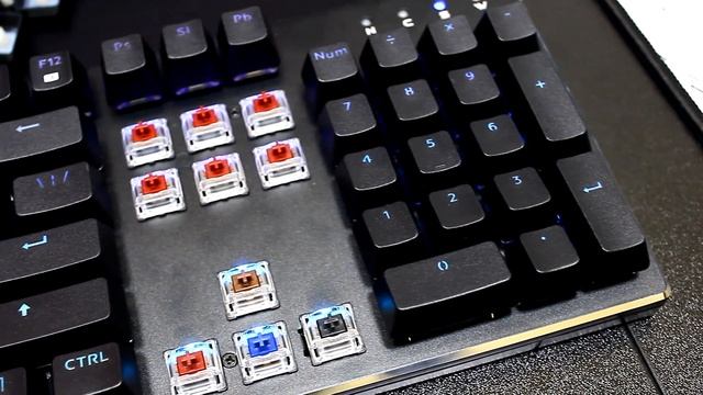 [Обзор] Dark Project KD-1 - Не знаете какие хотите свитчи? Она для Вас. смотреть онлайн