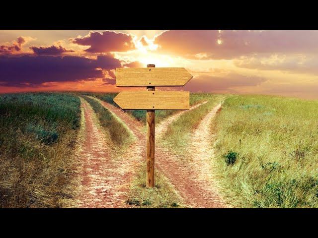 Таро: Камера мотор  Тропикана женщина, выбор без выбора ️