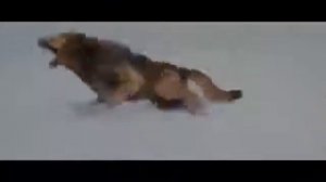 Сумерки.эту песню ищут все