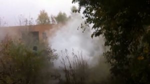 Дымовая шашка Заслон 90 секунд Белый дым