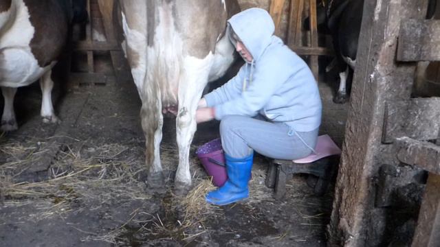 Сквэр Дэнс + Доярки= Любовь смотреть онлайн