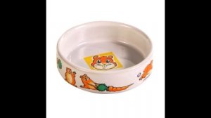 Как ухаживать за хомяками?// Советы по уходу и содержанию.