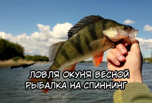 Рыбалка на Окуня весной. Рыбалка на спинниг. Русская рыбалка 2022!