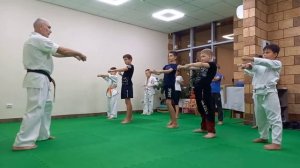 Готовимся к экзамену на оранжевые пояса!