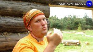 Самонесущая крыша