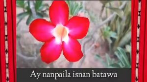 LAYAD By:Father Mario Tambic|kankanaey song|