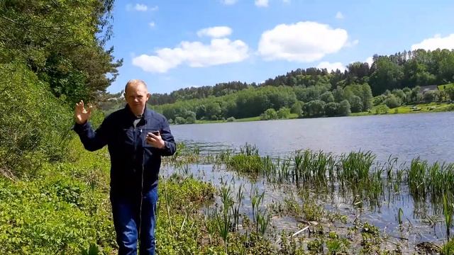 Особенности исцеления музыкой. Загадки мелодий Иоганна Штрауса. смотреть онлайн