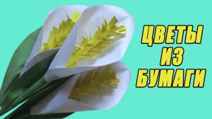 Как сделать цветы из бумаги. Оригами цветок Каллы. Подарок на 8 марта