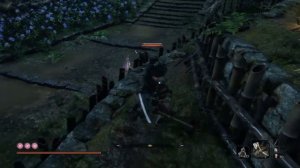 sekiro: настоящий ниндзя;)