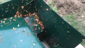 Колос. Измельчитель зерна и яблок