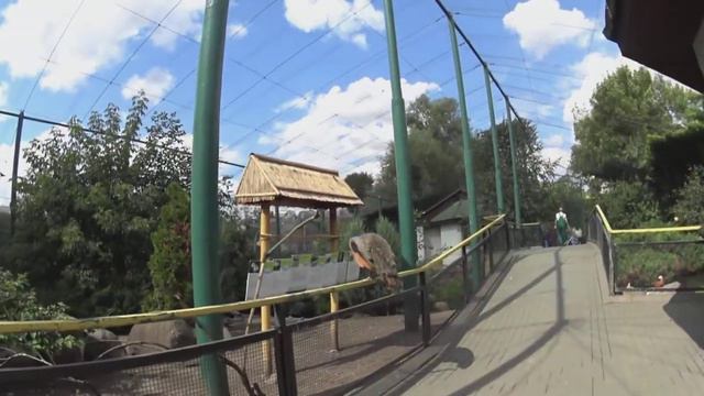 Павлины и лошадь в зоопарке смотреть онлайн