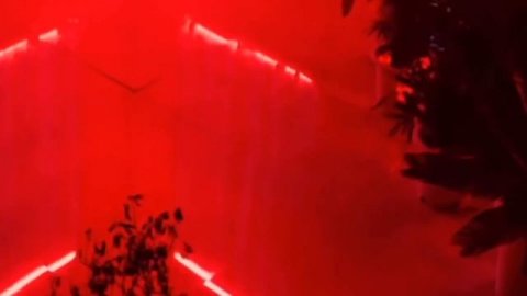 ИСТОРИЯ BLACKPINK | PREDEBUT