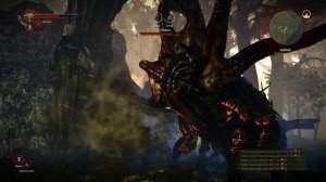 Баг в Ведьмаке 2 с Кейраном