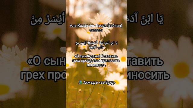 Оставь грех #грех #islam #вера #знания #иман #ислам #жизнь #хадис #счастье #коран #сунна #блог #blo