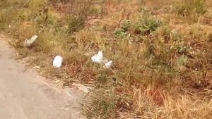 Нападение на отдел полиции в Ижевске. Осмотр места проишествия после следственных органов