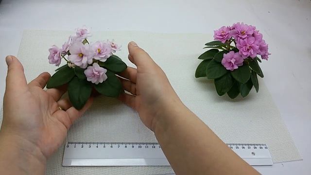 Фиалки БР-Кохана и ЦМ-Вечные Ценности, обзор сортов