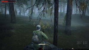 Охота на медведя Stay Out