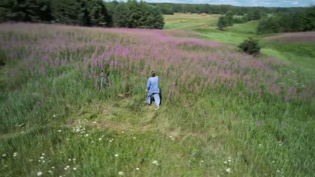 Иван чай из самого сердца тайги! смотреть онлайн