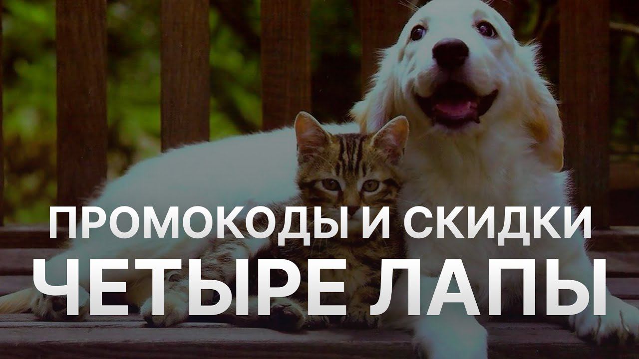 Промокод Четыре лапы - Купон Четыре лапы - Скидка 4lapy 2022 2023