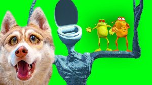 УНИТАЗОГОЛОВЫЙ СЪЕЛ КАМНЕЕЖЕК!! (Хаски Бублик) Говорящая собака