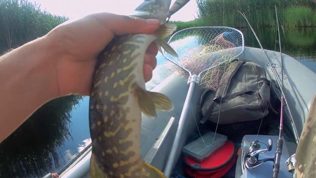 ВОБЛЕР ДНЯ. ЩУКА ИЮНЬ 2021 смотреть онлайн