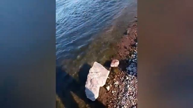 Рыбалка после запрета))) Первый выезд.