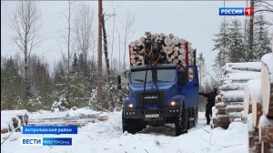 Костромская область стремительно увеличивает темпы лесовосстановления