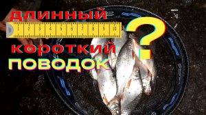 КОРОТКИЙ ПОВОДОК?или ДЛИННЫЙ? ВСЕГДА ЕСТЬ ВЫБОР,ДЛЯ ЧЕГО ЭТО НУЖНО?-СМЕАНА ПОВОДКА,ПРАКТИКА ПОКАЗАЛА