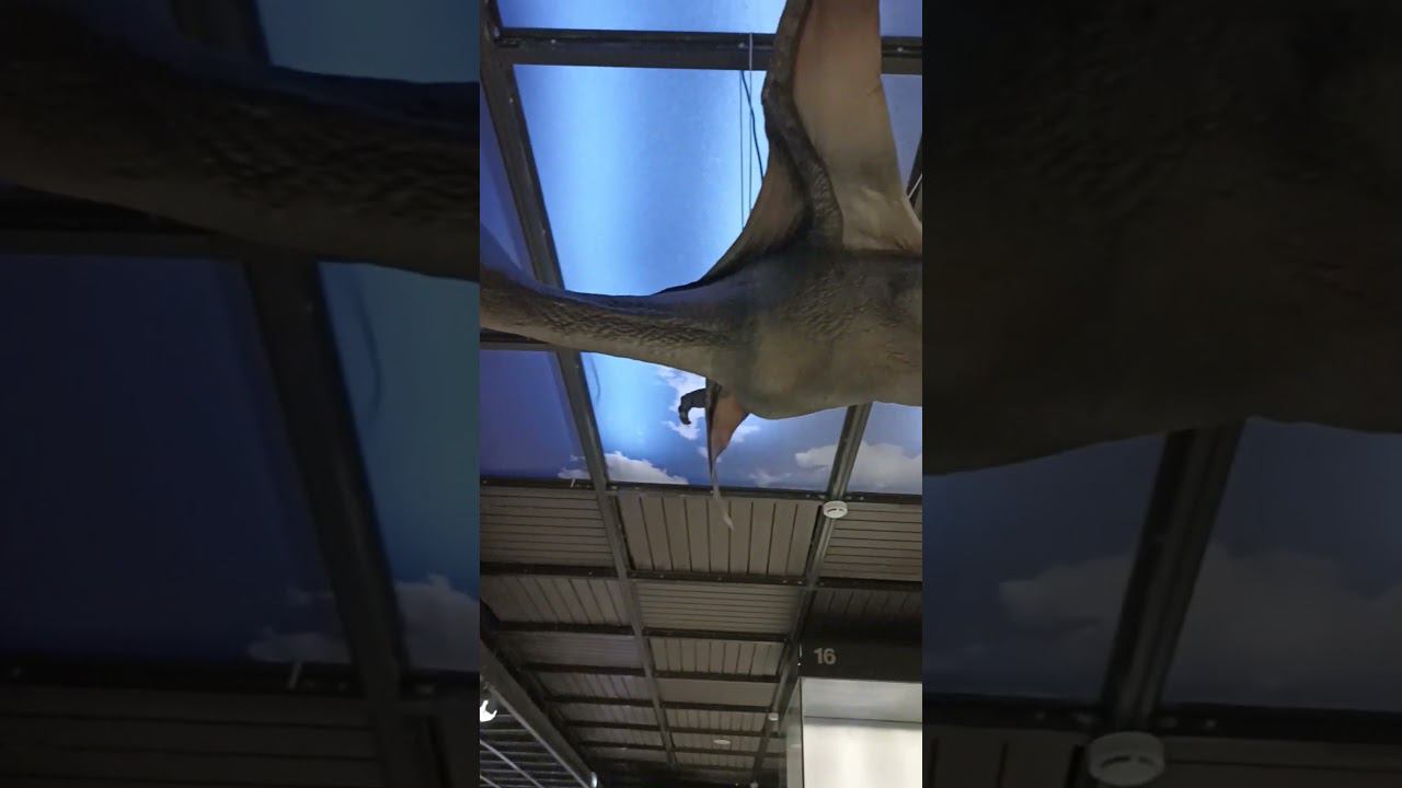 Останки #shorts смотреть онлайн