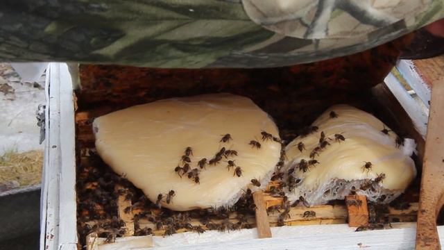 Весенние работы на пасеке | Облет пчел смотреть онлайн