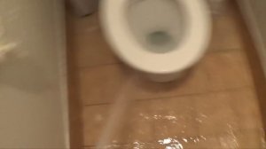 How To Accurately Pee